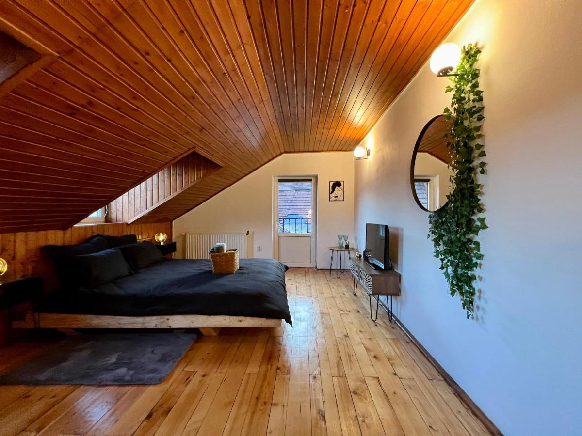 Nacada Studio By Hyco Apartment Sighisoara Exterior photo